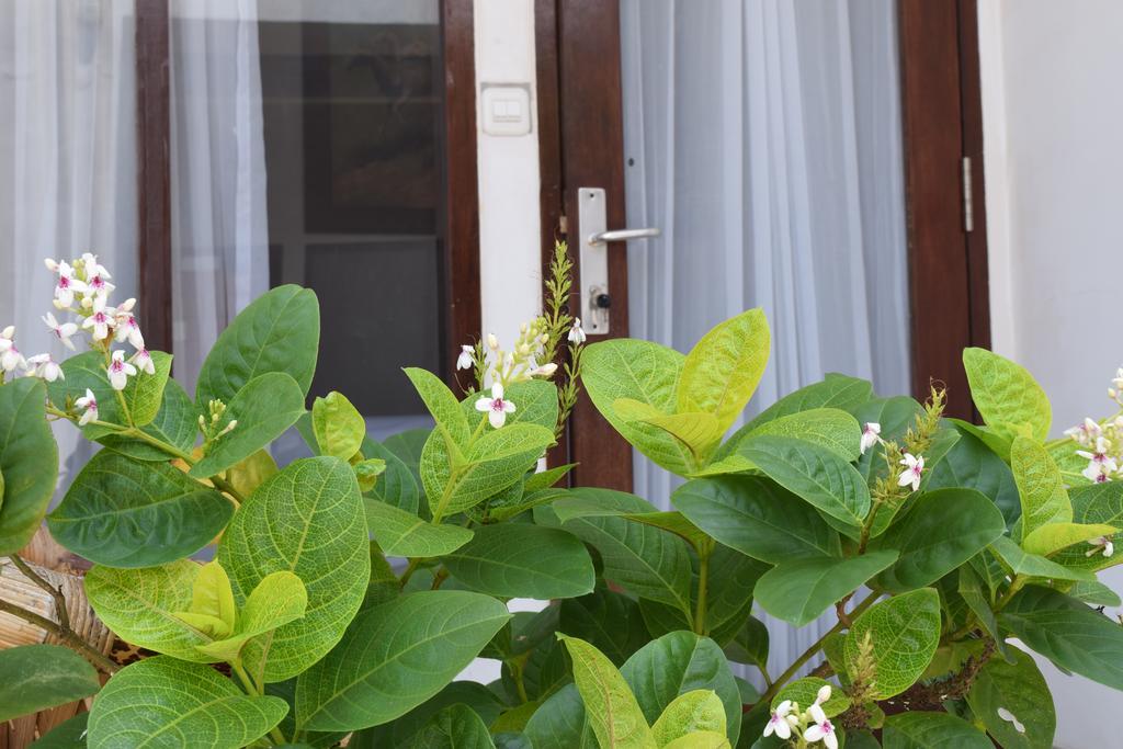 Gili Sands Hotel & Bar Gili Trawangan Room photo